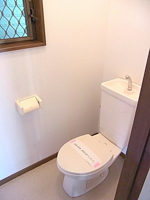 Toilet. Toilet