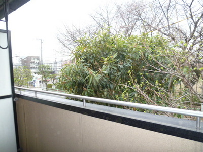 View. Balcony