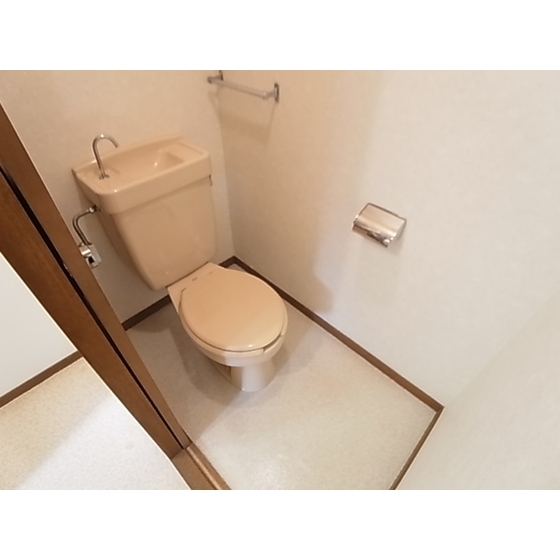 Toilet. Toilet