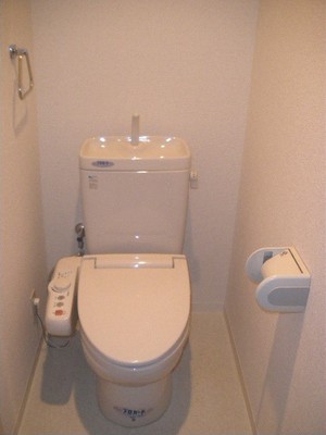 Toilet. Toilet