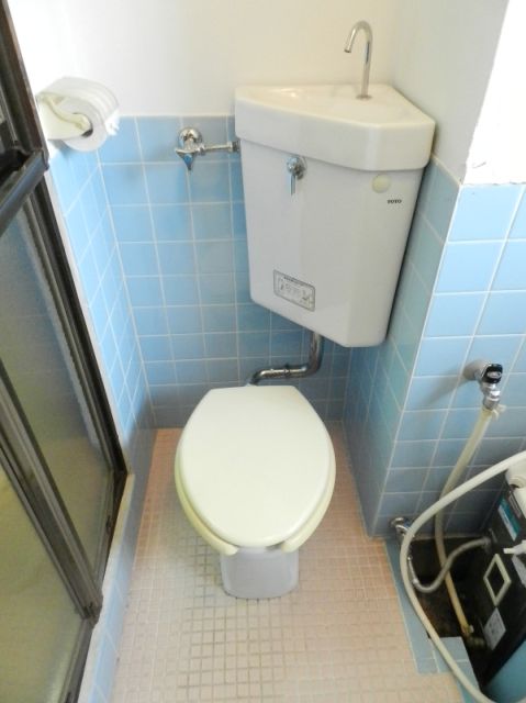 Toilet. Toilet