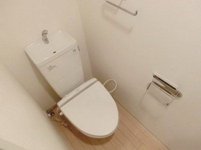 Toilet. Toilet