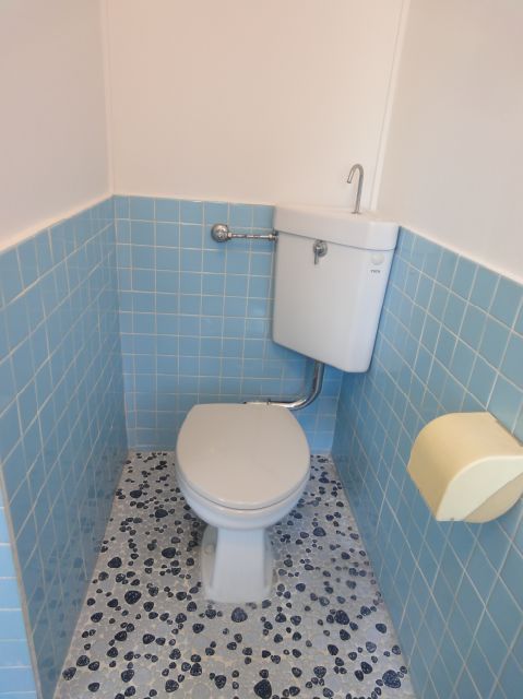 Toilet. Toilet