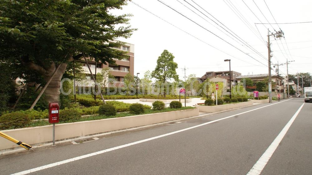 Other. Higashimachi camphor tree park