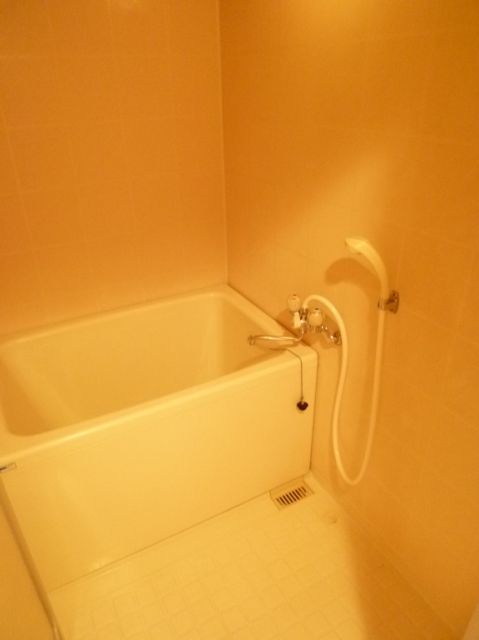 Bath. Bathroom