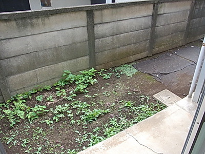 Balcony. terrace
