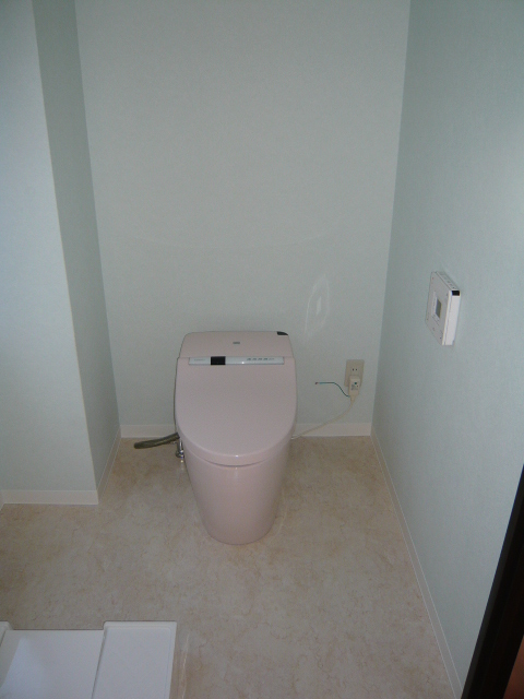 Toilet. Toilet