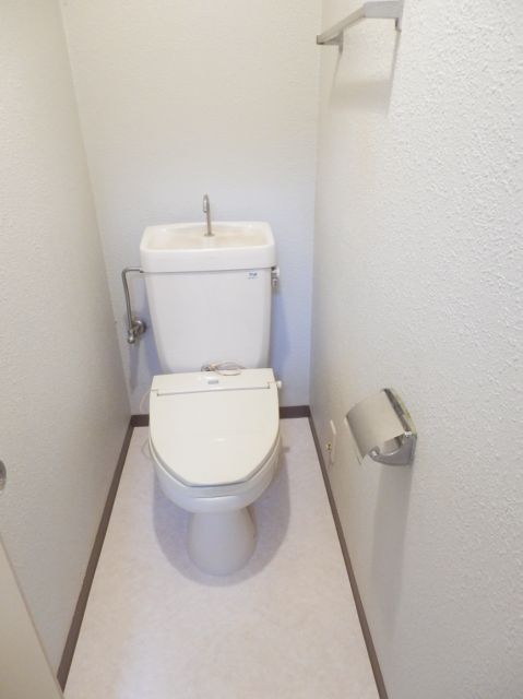 Toilet. Toilet