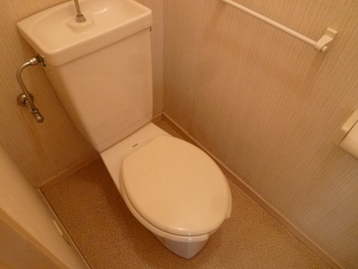 Toilet. Toilet