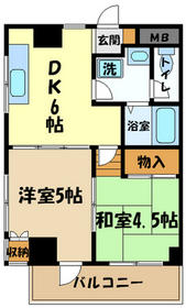 Building appearance