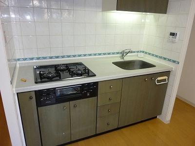 Kitchen. Indoor (12 May 2013) Shooting