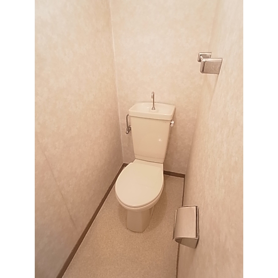 Toilet. Toilet