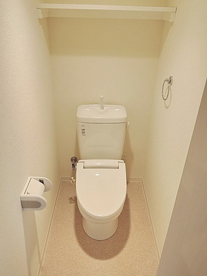 Toilet. Toilet