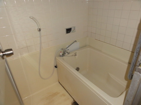 Bath. Bathroom