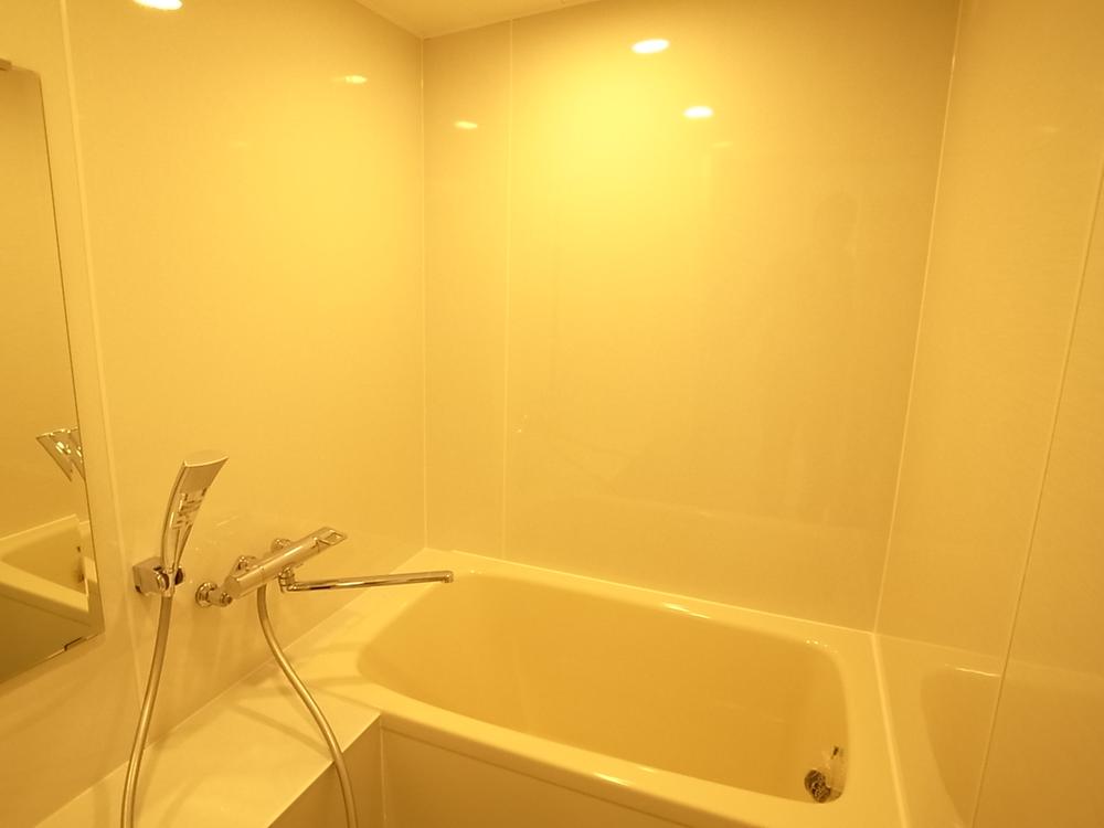 Bathroom. Indoor (10 May 2013) Shooting