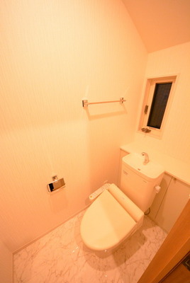 Toilet. tray