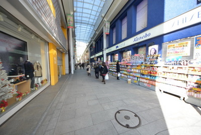 Other. 1200m to the station (Other)