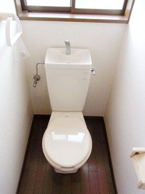 Toilet. Toilet