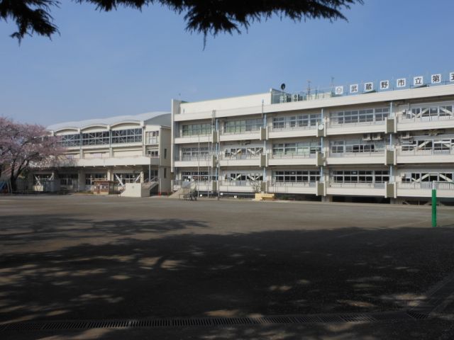 Primary school. Municipal fifth elementary school to (elementary school) 990m