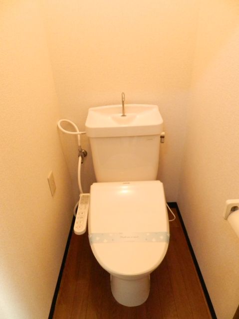 Toilet. Bidet with a toilet