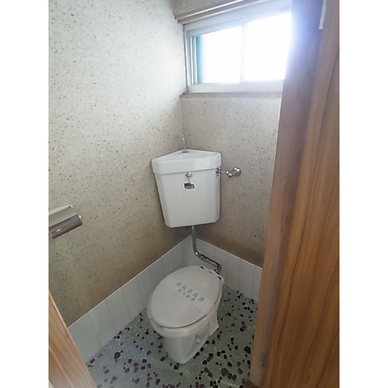 Toilet. toilet"
