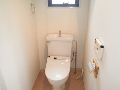 Toilet. Cleaning toilet seat with a window with a bidet function