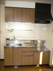 Kitchen. sink