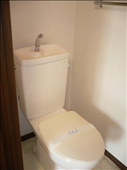 Toilet. Toilet