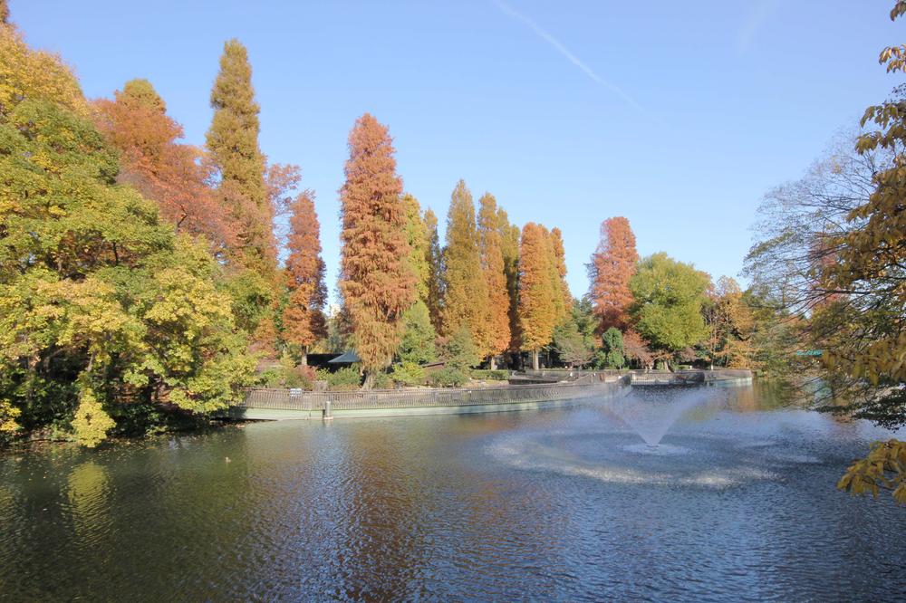 Other. The nearby there is Inokashira Park