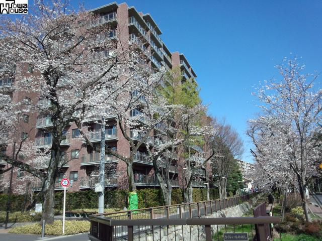 Local appearance photo. Sakurazutsumi garden fascia W Togaikan