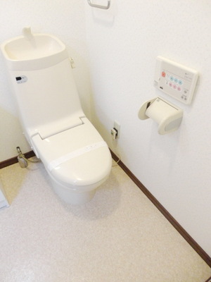 Toilet. Bidet
