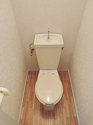 Toilet. Toilet