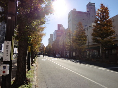 Other. 700m to the shopping street (Other)