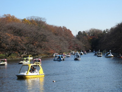 park. 900m to Inokashira Park (park)