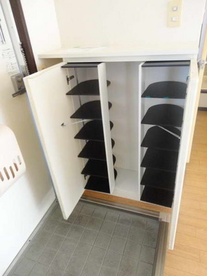 Entrance. Shoe box