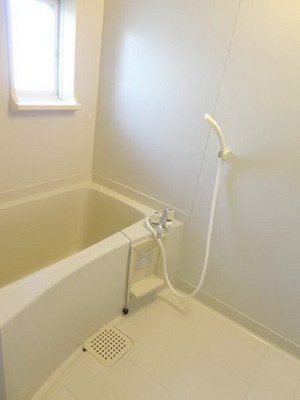 Bath. Bathroom