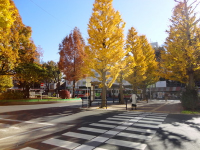 Other. 1900m to Mitaka Station (Other)