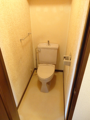 Toilet. Toilet