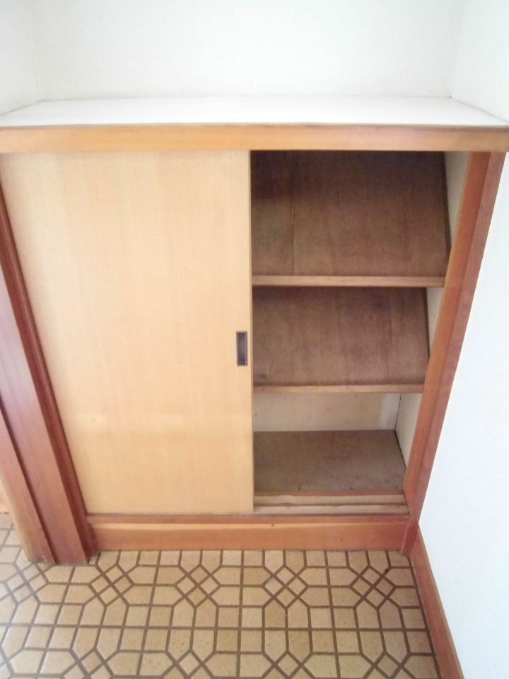 Entrance. Shoes BOX