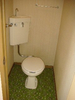 Toilet. Toilet
