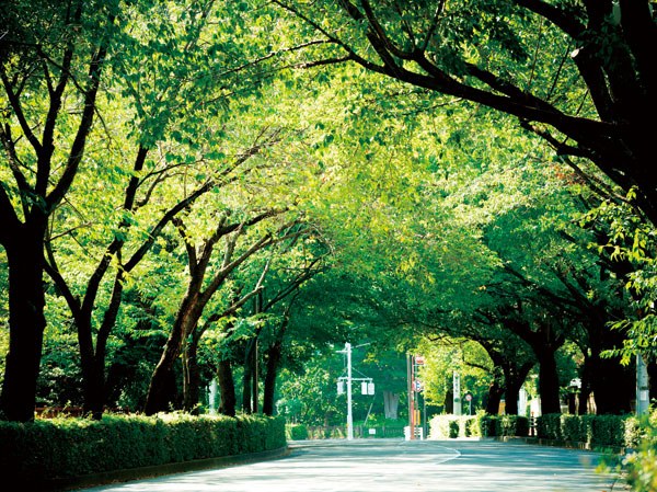 Surrounding environment. Tamagawa green road (about 620m ・ An 8-minute walk)