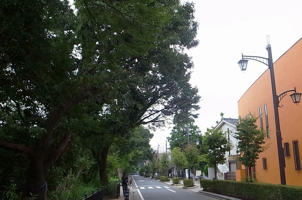  [Tamagawa green road] (Walk 620m / It is nicknamed about 8 minutes) "Kazenotoorimichi" and "Mitaka" connecting "Inokashira Park" 1 main road