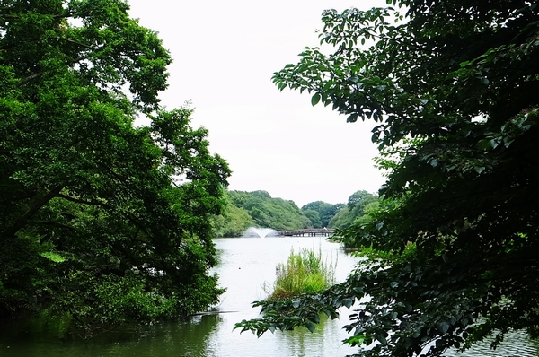  [Inokashira Park] In the park surrounding the vast pond, Fun to find a favorite spot of the secret