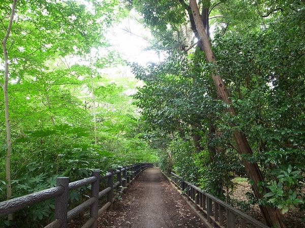  [Inokashira Park] (Walk 11 minutes / About 870m) what's in this earlier, Exciting road