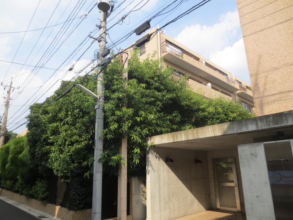 Local appearance photo