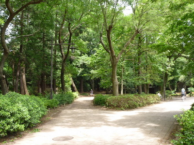 park. 1500m to Inokashira Park (park)