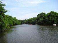 Other local. Inokashira Park is walking