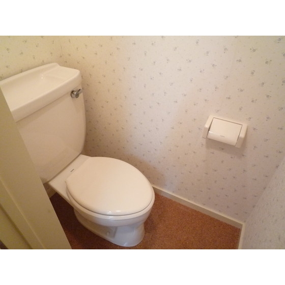 Other. Toilet image