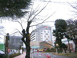Hospital. Musashinosekijujibyoin 600m until the (hospital)