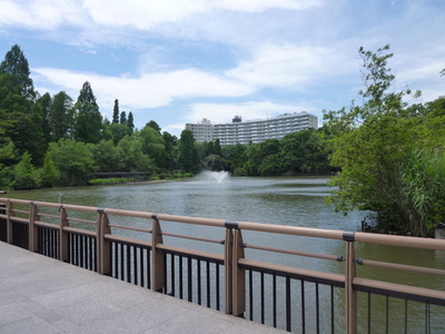 park. 750m to Inokashira Park (park)